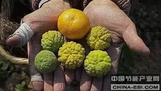 123